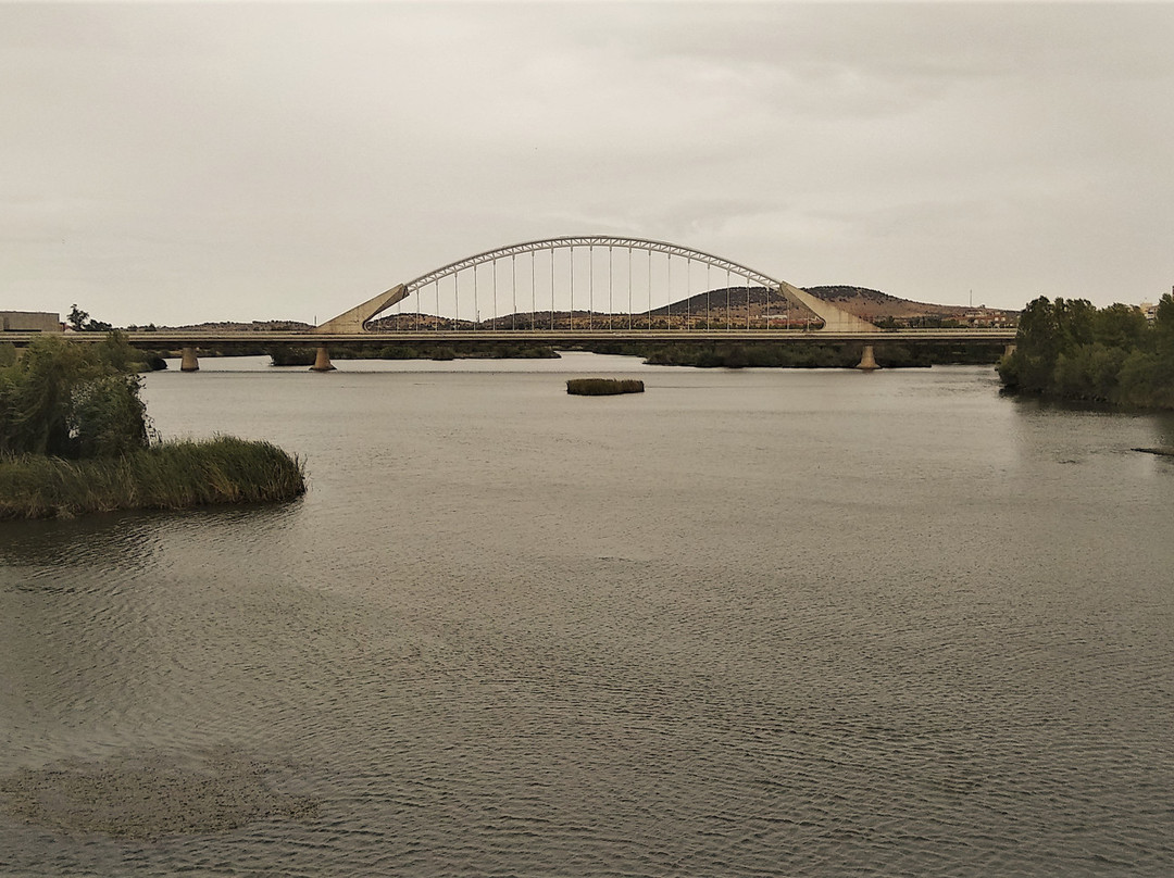 Puente de Lusitania景点图片