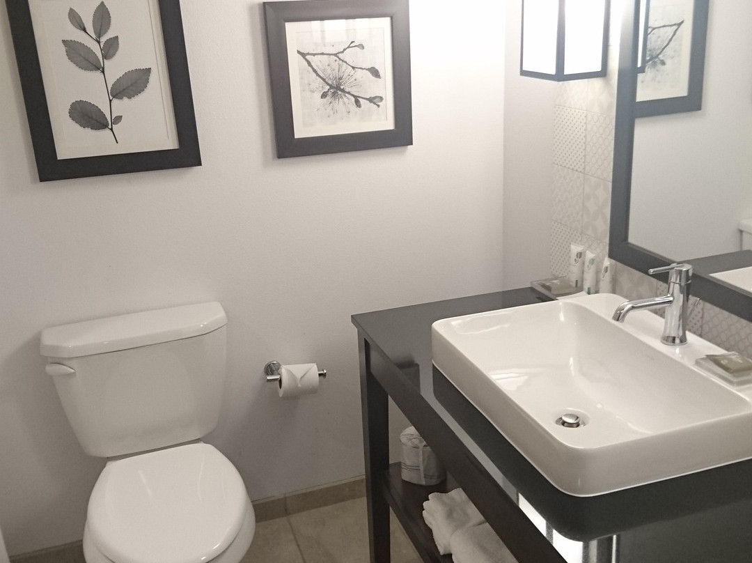 Country Inn & Suites By Radisson Roseville - St Paul主图