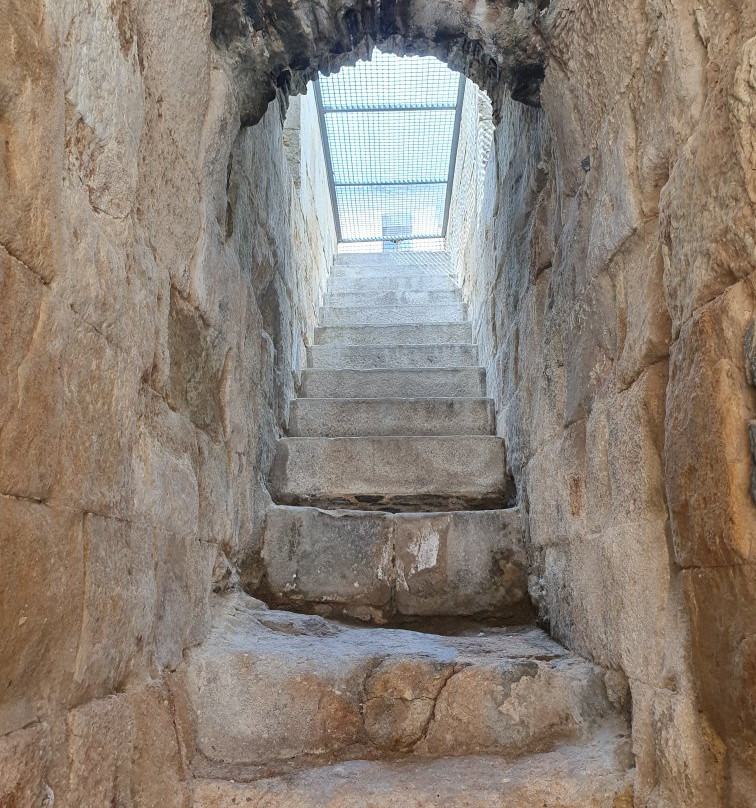 Cueva de Salamanca-萨拉曼卡必去景点