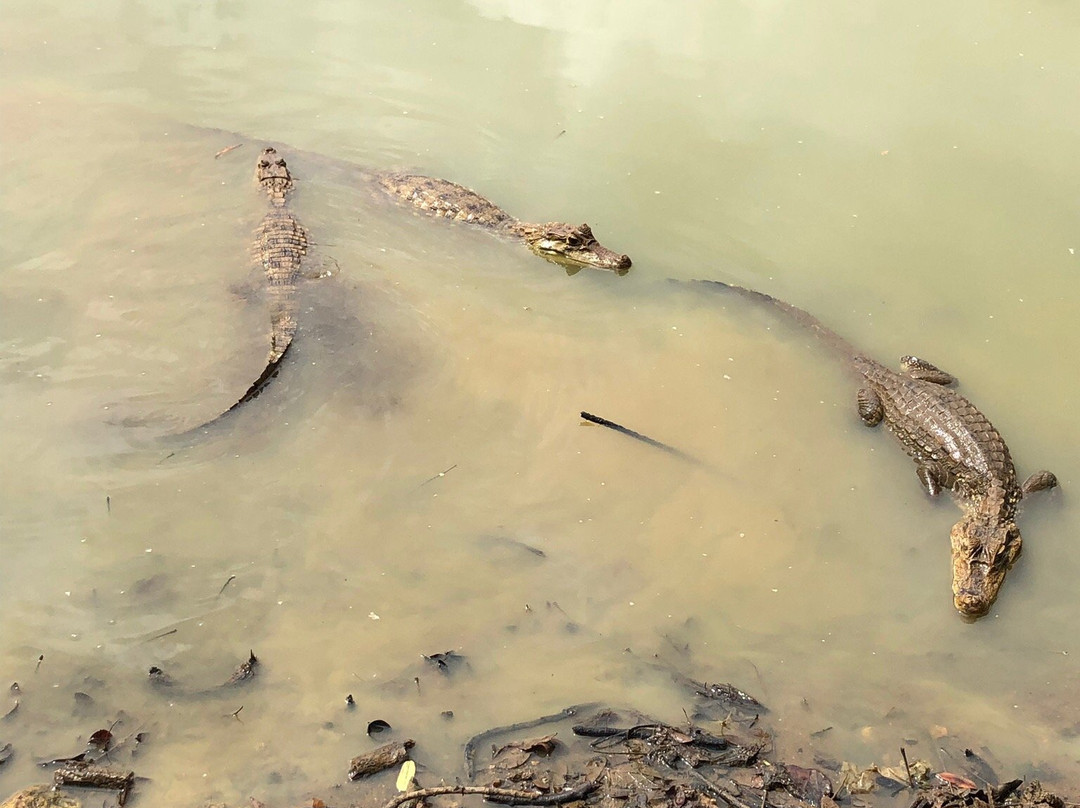 Laguna Big Pond景点图片