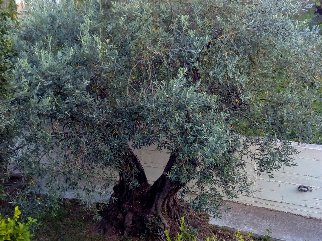 Studios Filippos主图