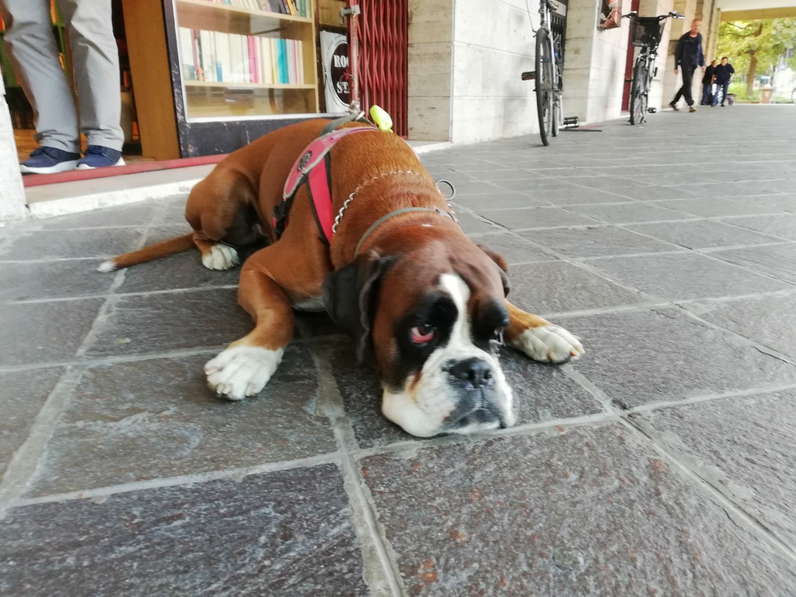 B & B Monterosso-官方