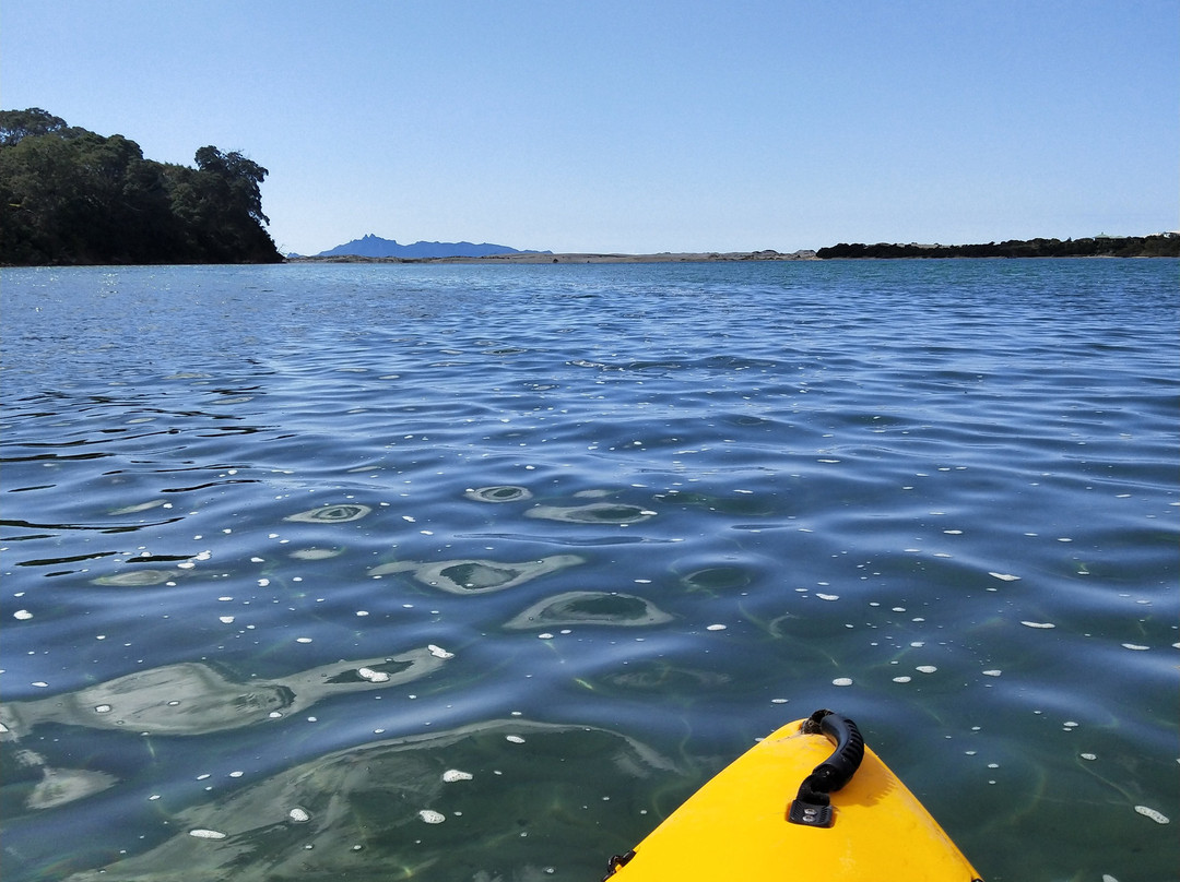 Aotearoa Surf School景点图片