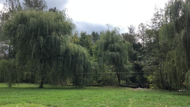 Chilliwack River Rafting-奇利瓦克必去景点