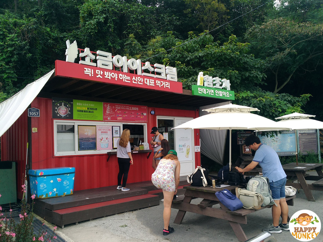 Taepyeong Salt Field-新安郡必去景点
