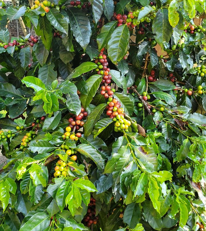 Andean Spirit Lodge主图