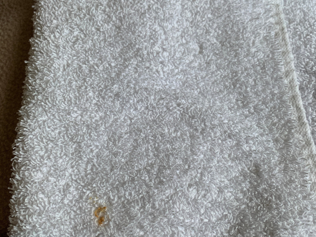 The Trailhead Hotel主图