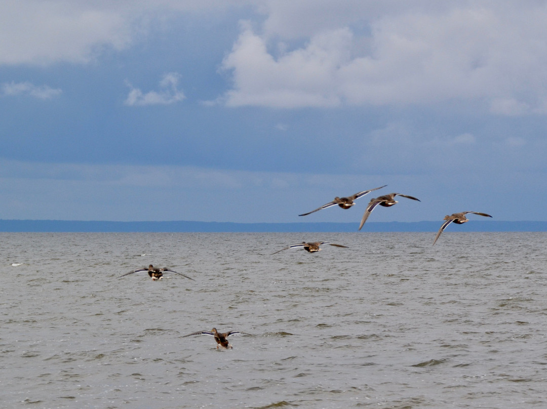 Eva Wardlaw Conservation Area-诺斯贝必去景点