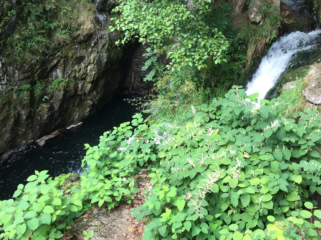 Cascade du Saut de L'Ognon-Servance必去景点