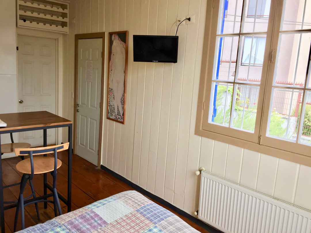 B & B Caballo Bayo主图