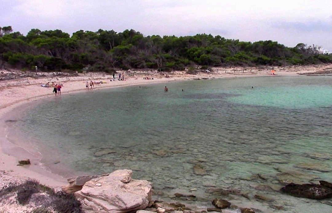 Platja Es Peregons-Campos必去景点