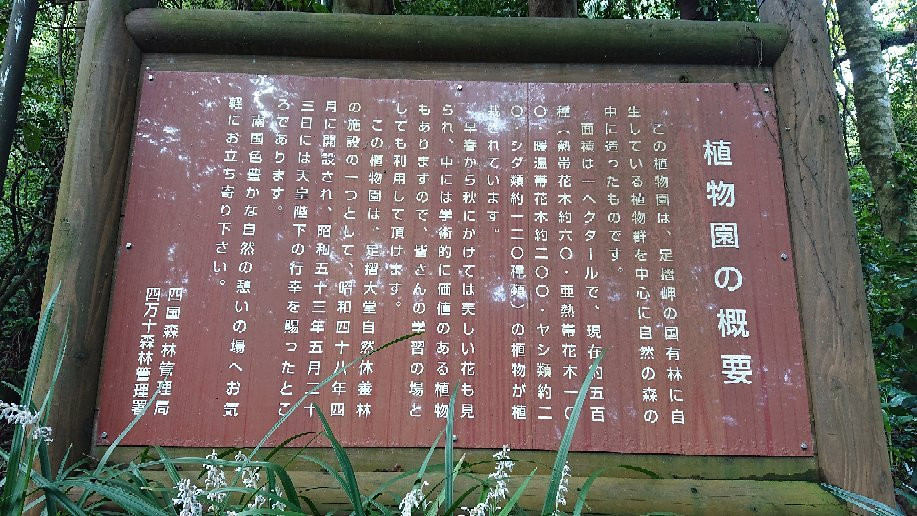 Ashizuri Anettai Shokubutsu-en-土佐清水市必去景点