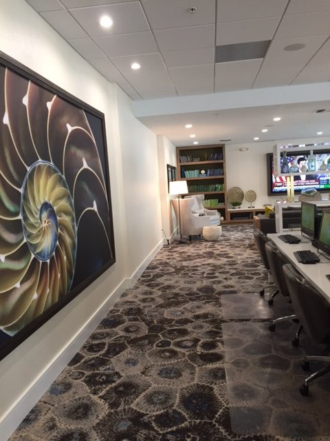 Courtyard by Marriott Miami Coral Gables主图