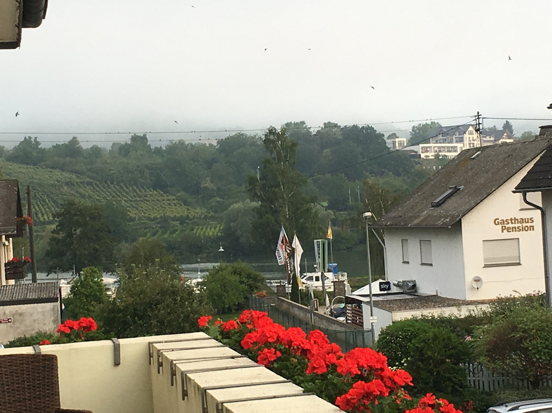 Pension Haus Am Walde Brodenbach Mosel主图