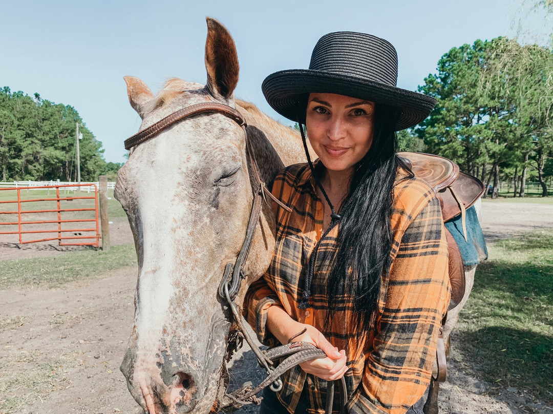 Desperado Horse Farm-Rocky Point必去景点