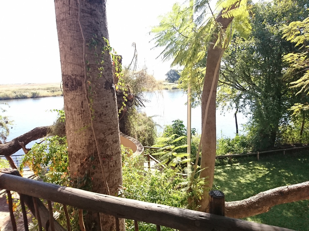 Chobe Safari Lodge主图