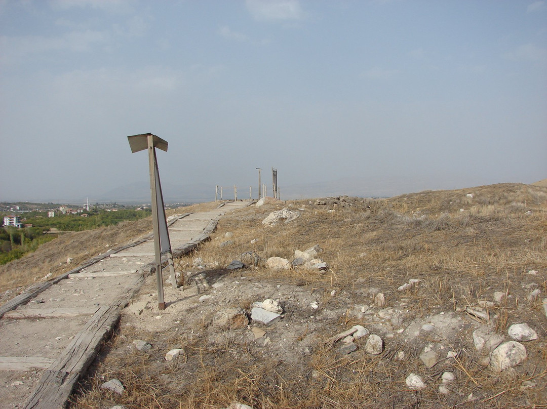 Aslantepe Ruins景点图片