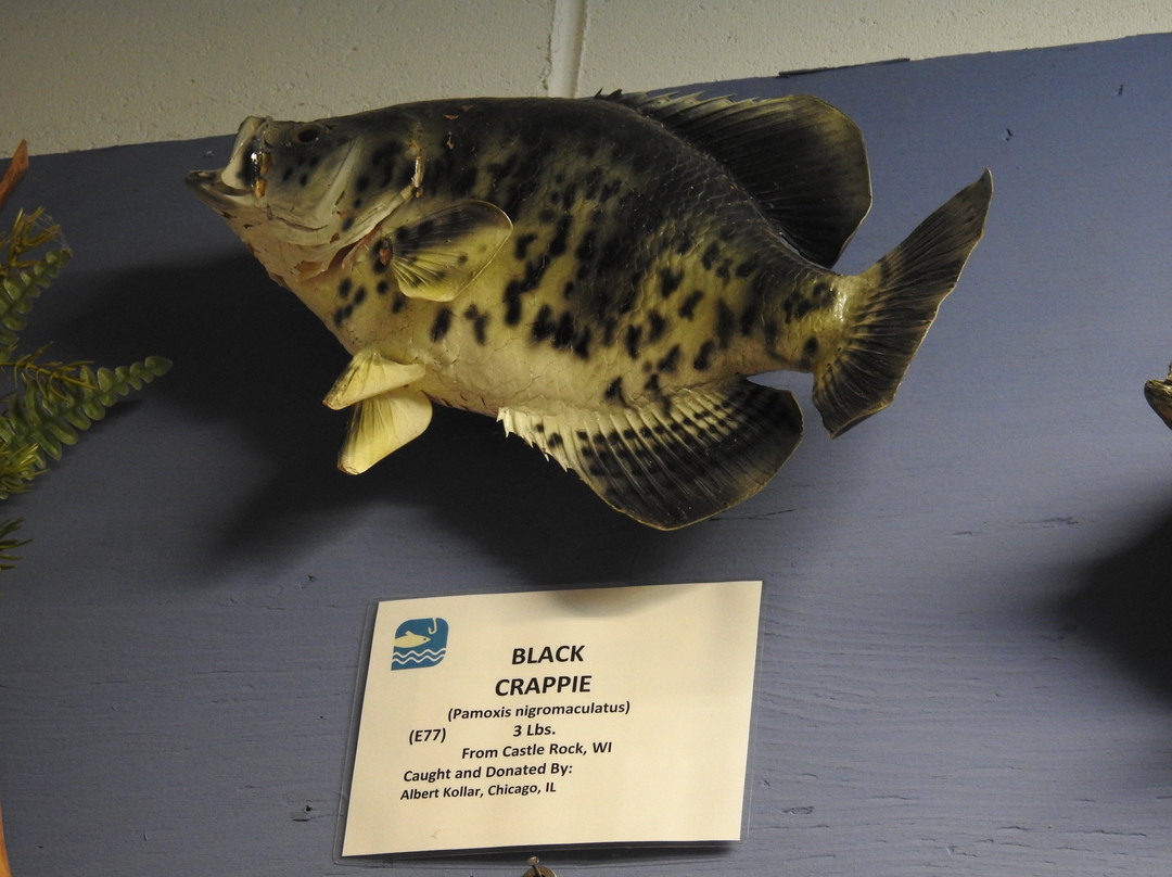 Fresh Water Fishing Hall of Fame景点图片