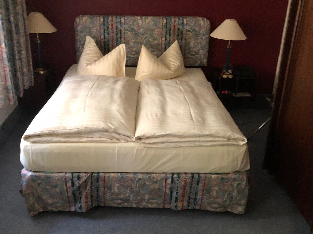 Heidehotel Soltauer Hof主图