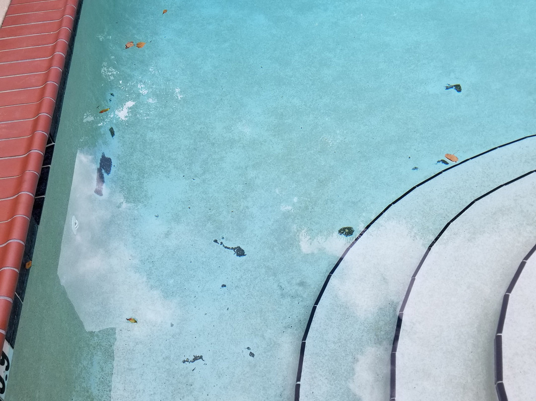 Days Inn by Wyndham North Mobile主图