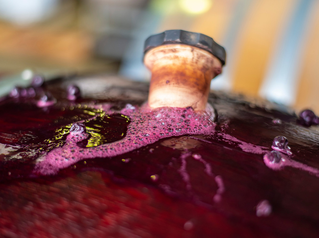 Yelland & Papps-努里乌特帕必去景点