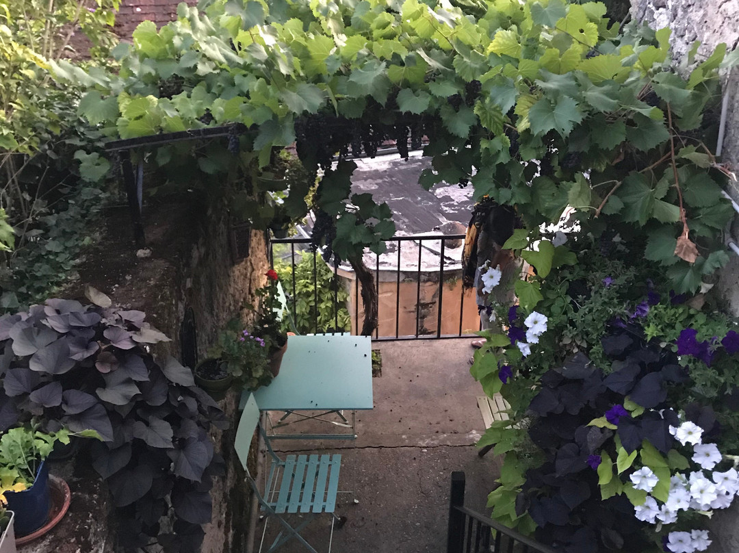 Le Coin Tranquille主图