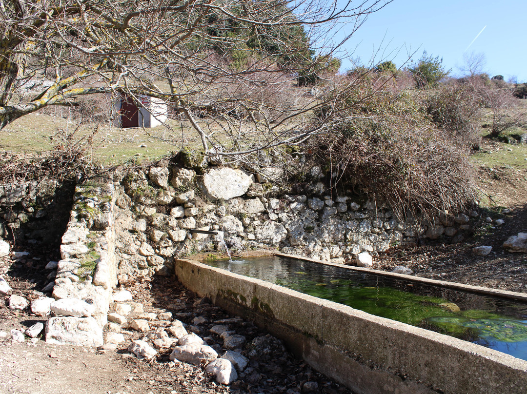 Grotta Di San Benedetto景点图片