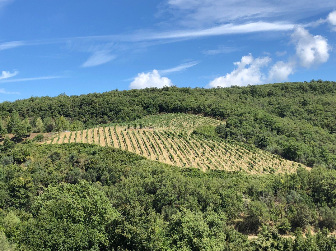Cantina Castelvecchi in Chianti-拉达因基安蒂必去景点