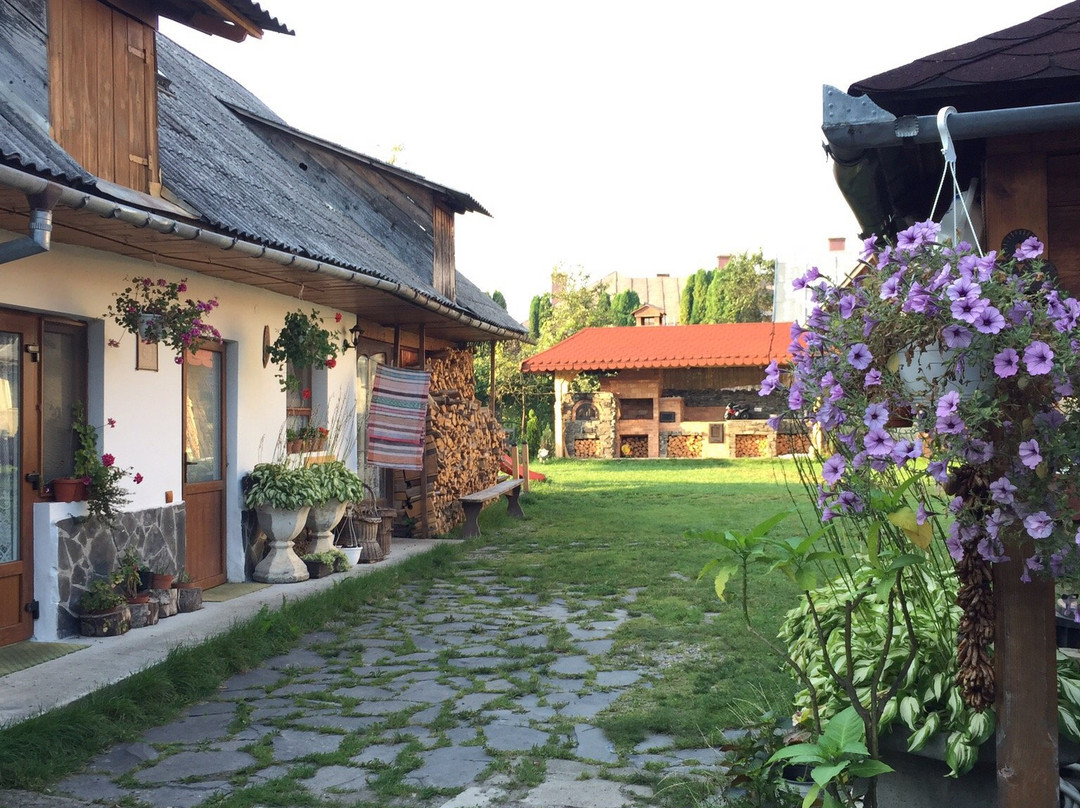 Guesthouse Ileana主图