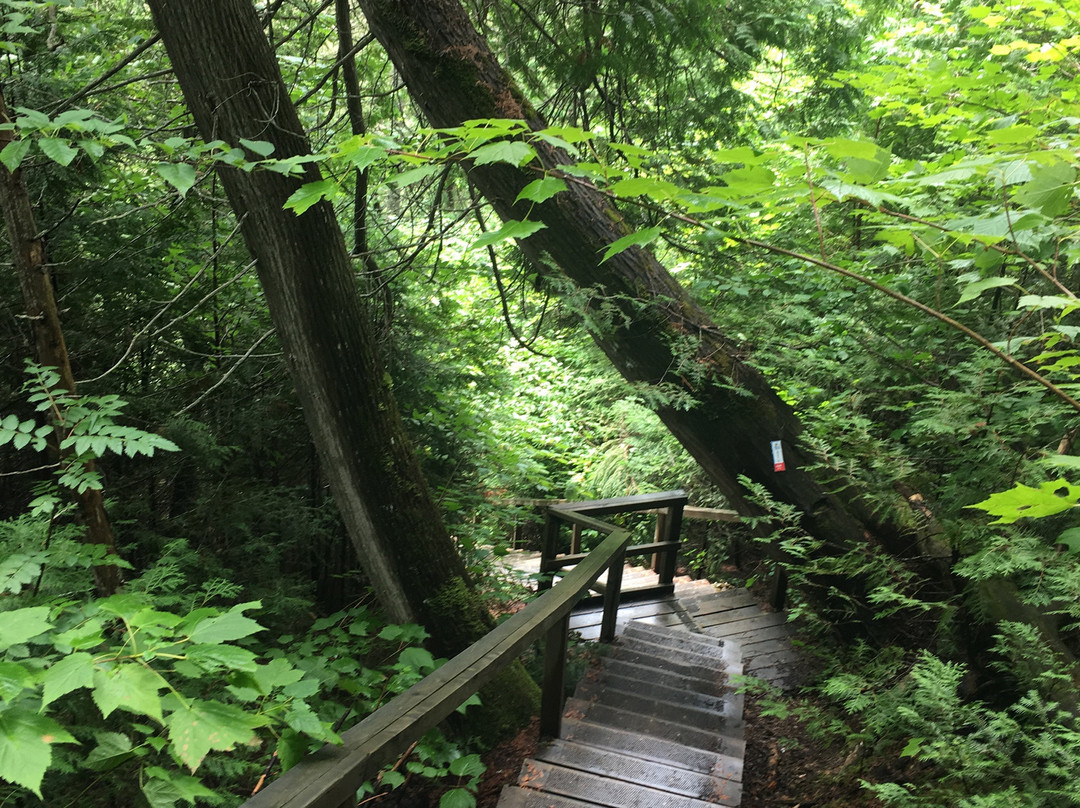 Chutes a Picot-Matapedia必去景点