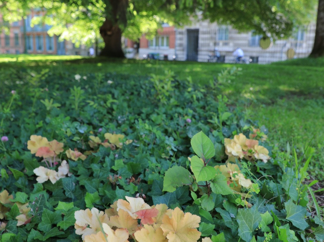 Jardin Du Grand Rond Toulouse-图卢兹必去景点