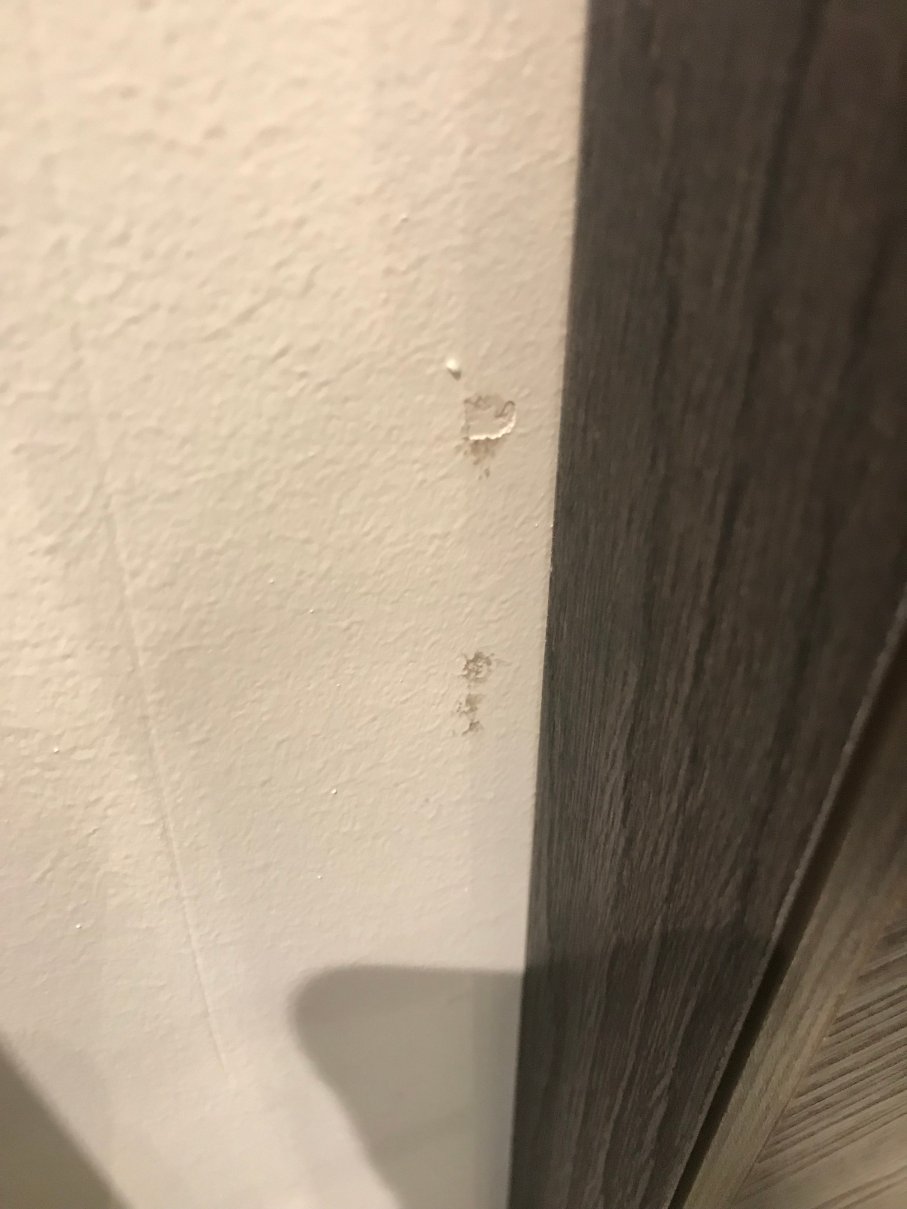 索尔霍酒店-portrait