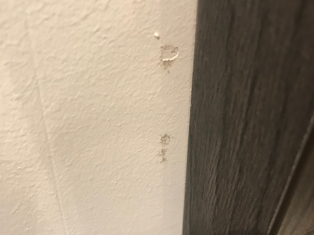 索尔霍酒店主图