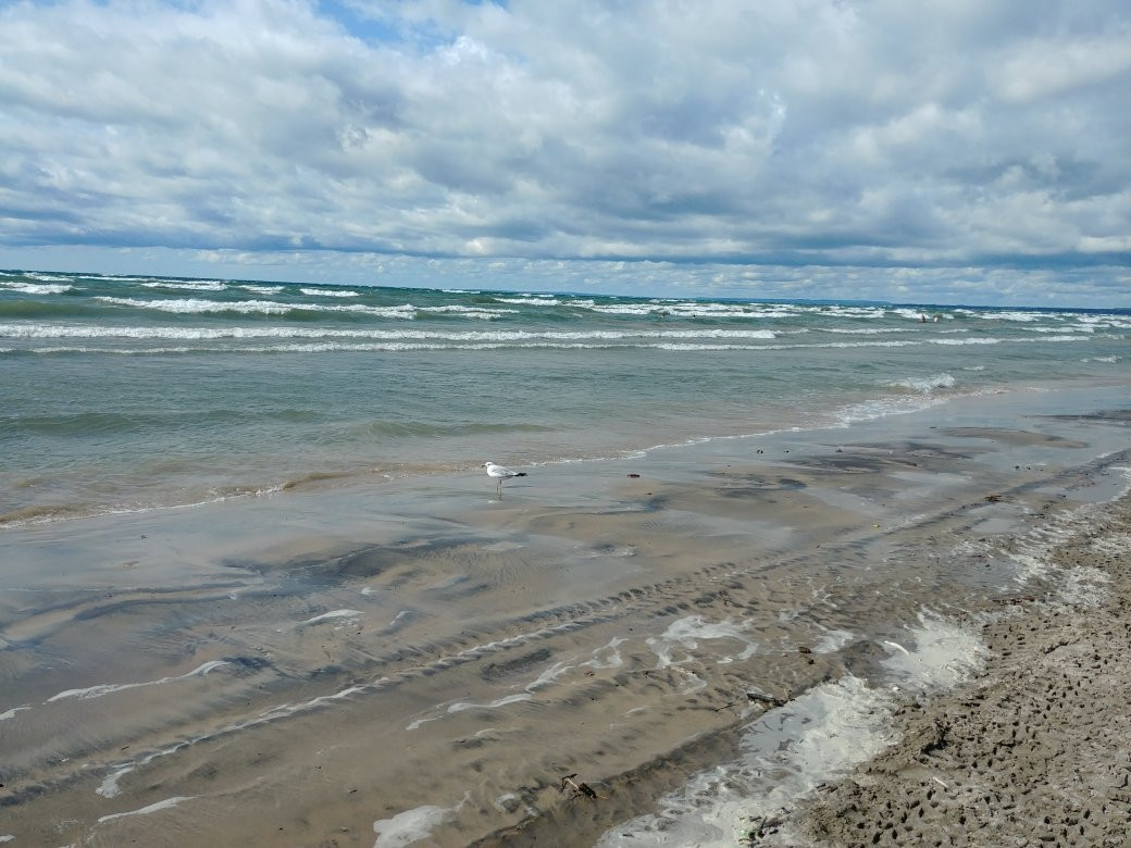 Hollywood Cottages主图