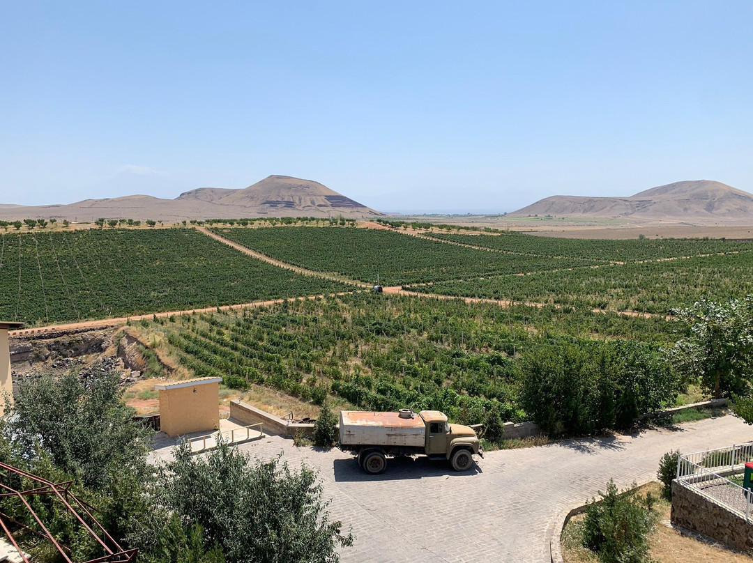 Armas Winery & Estate-Nor Yedesia必去景点