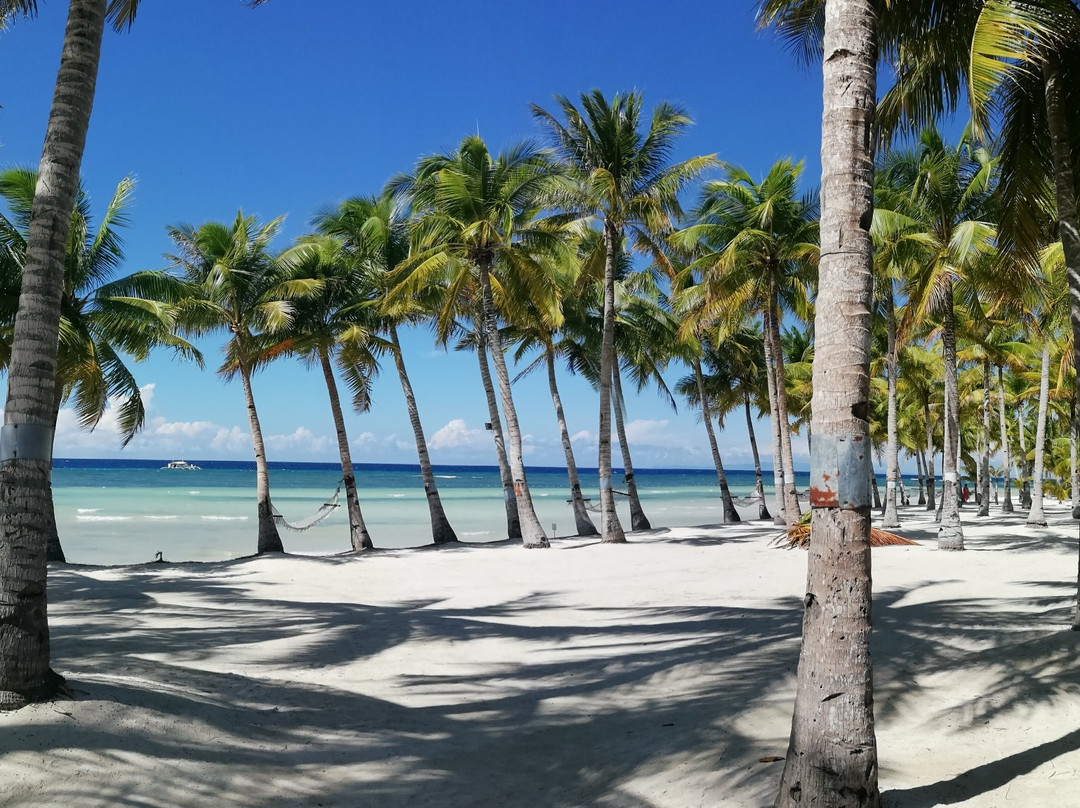 薄荷海滩俱乐部酒店主图