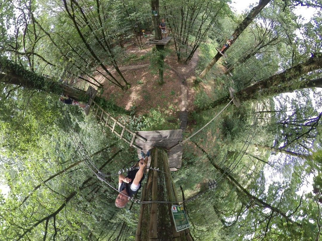 Parc Aventure 79 Chantemerle景点图片
