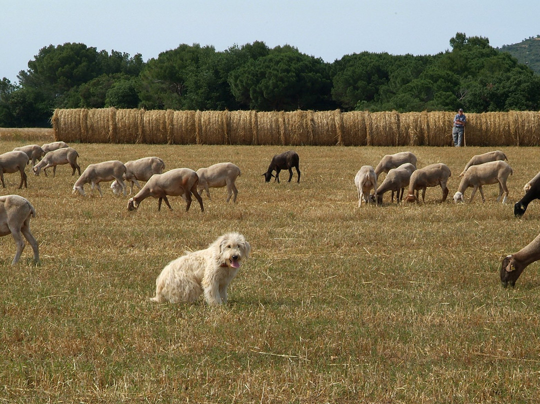 Pedaling-Palafrugell必去景点