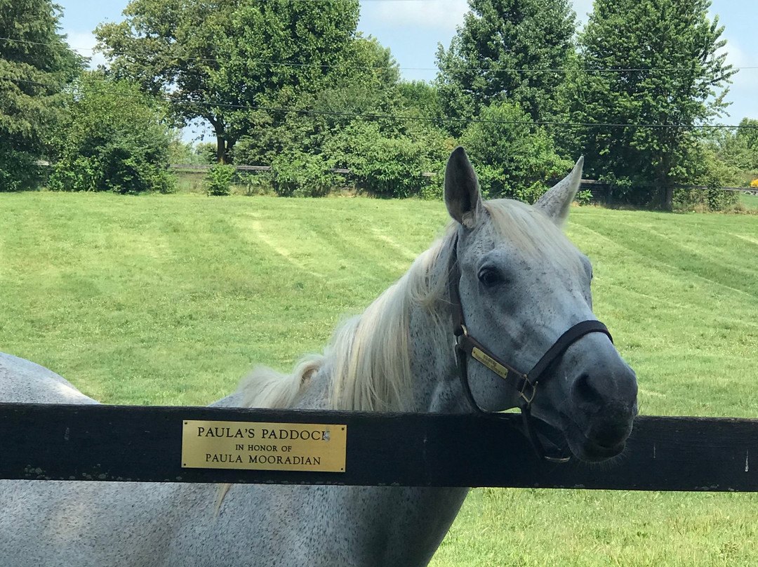 Old Friends at Kentucky Downs-Franklin必去景点