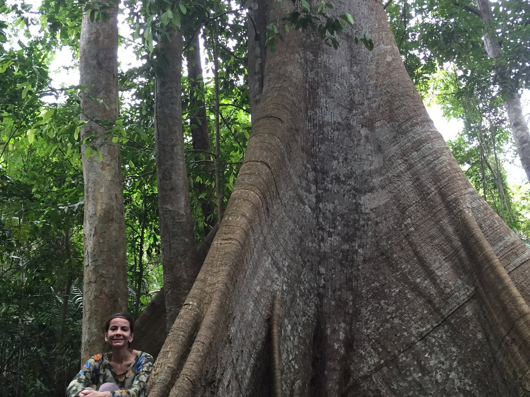 Floresta Nacional de Tapajos-Santarem必去景点