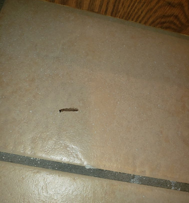 Quality Inn Stockbridge Atlanta South主图