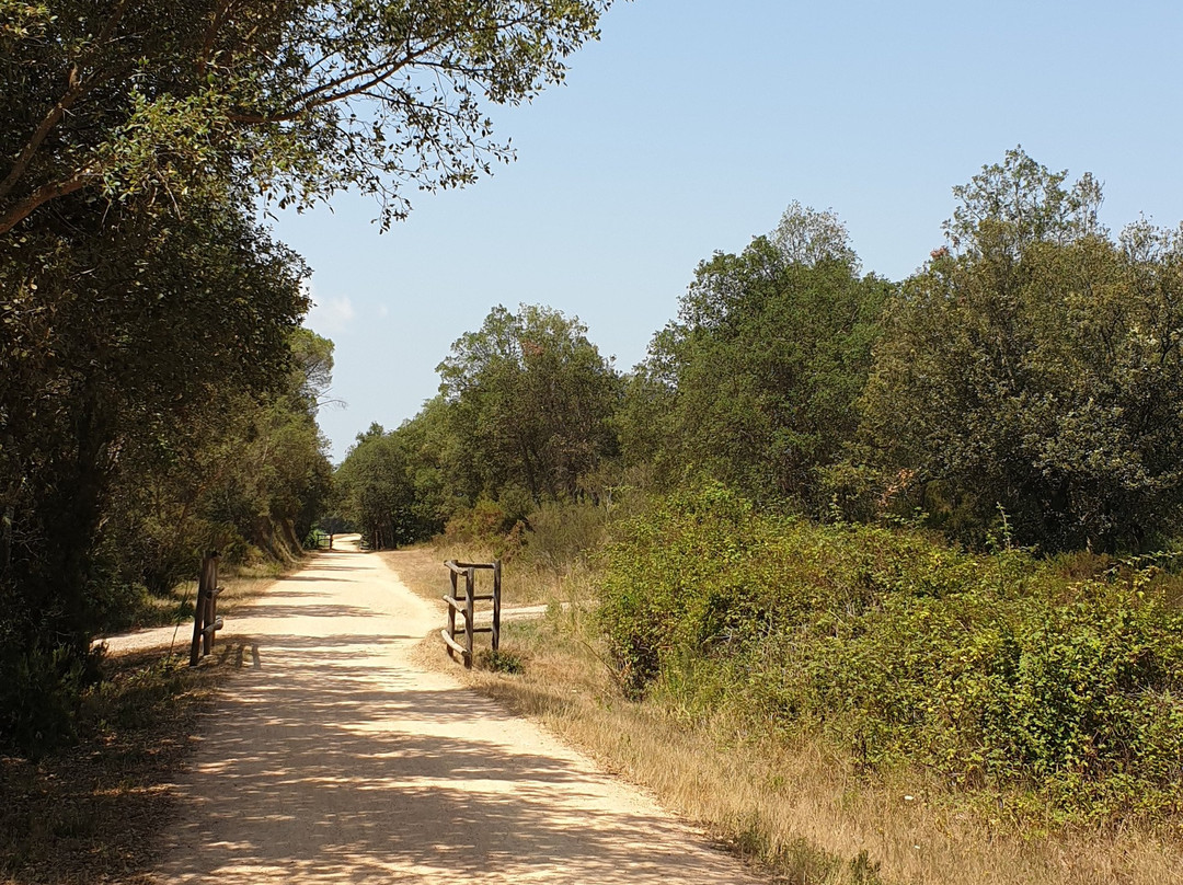 Fietsen in Girona景点图片