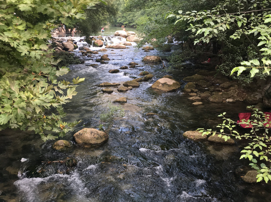 Yazili Kanyon National Park景点图片