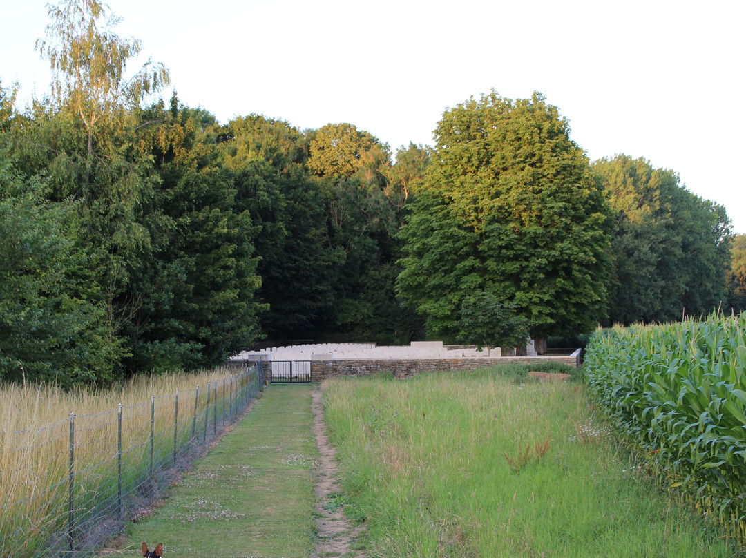 Blighty Valley Cemetery景点图片