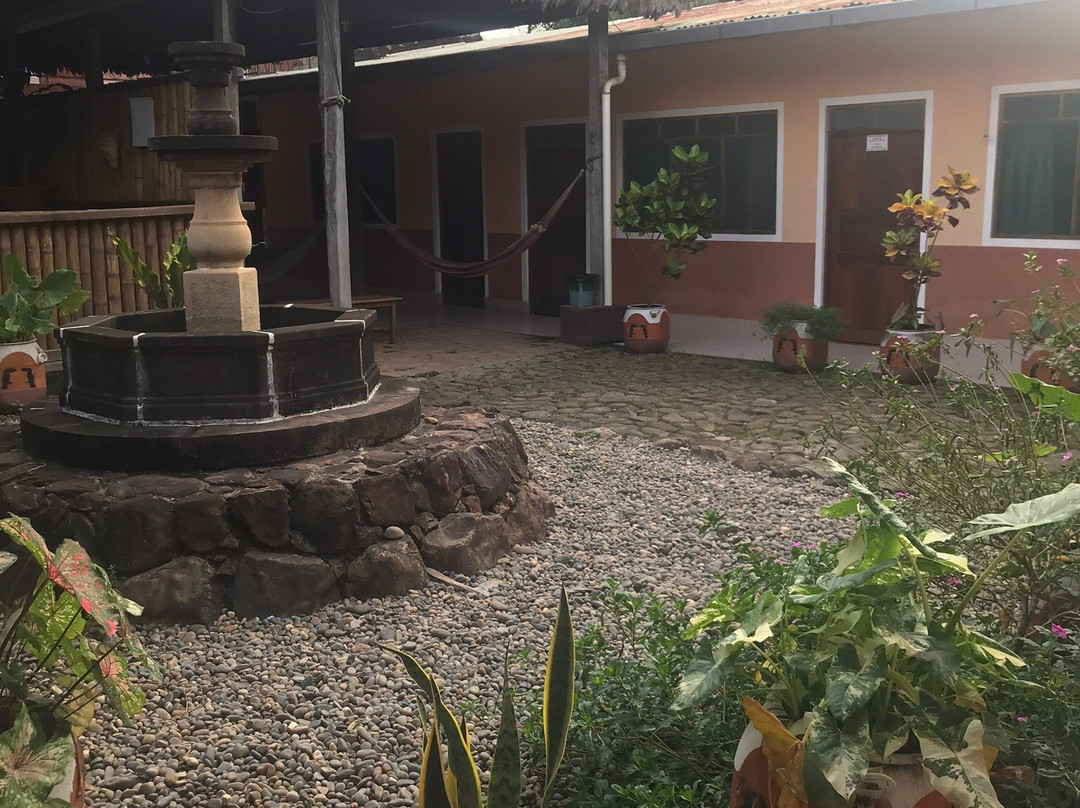 Los Tucanes de Rurre主图