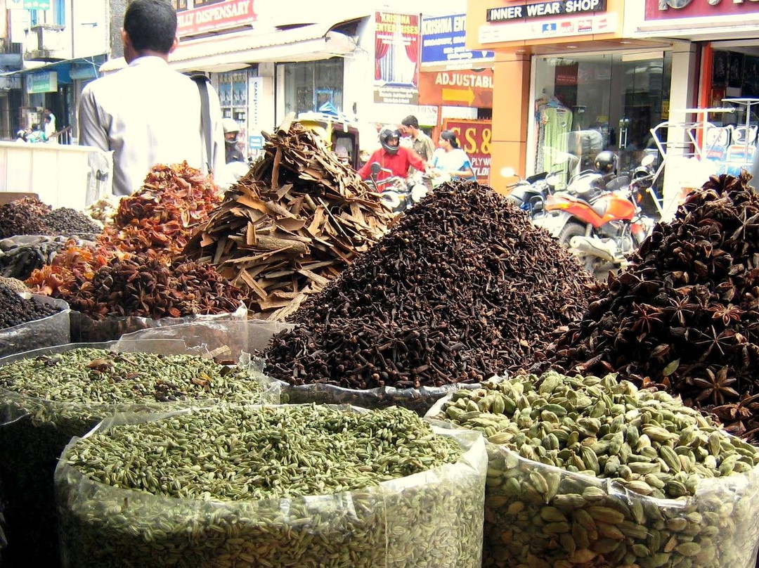Cochin Ethnic Tour景点图片