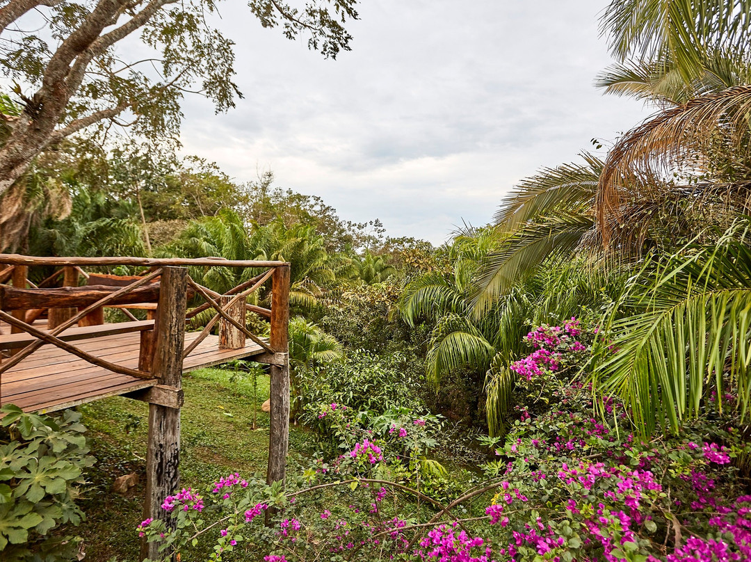 San Xavier Quinta Eco Resort主图