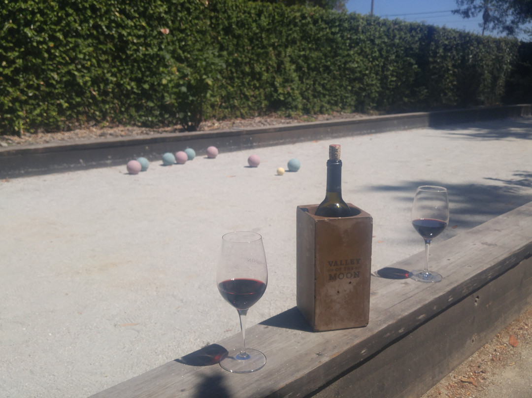 Valley of the Moon Winery景点图片