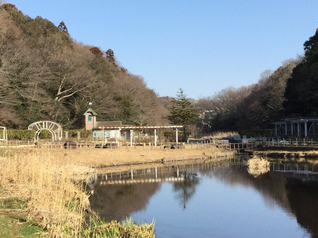 Omachi Park-市川市必去景点