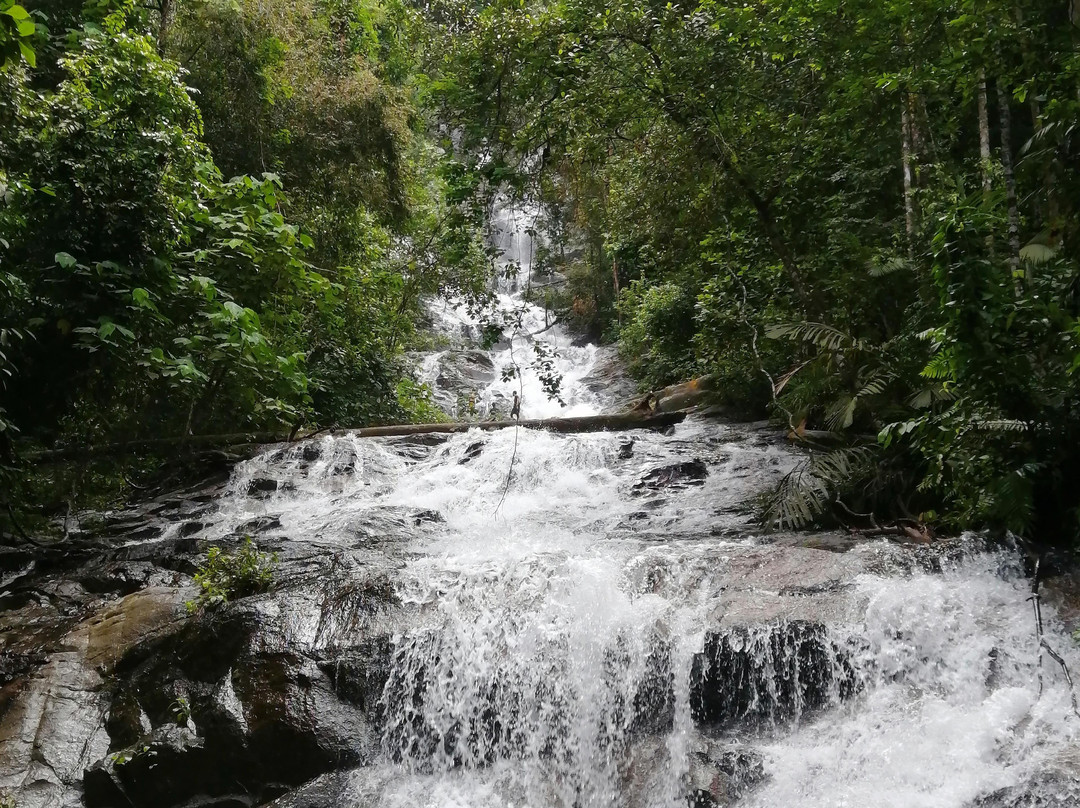 Malaysia Specialty Food & Adventure Tours-吉隆坡必去景点